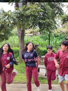 CAMP3