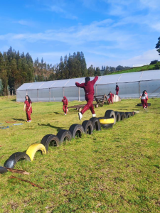 CAMP3